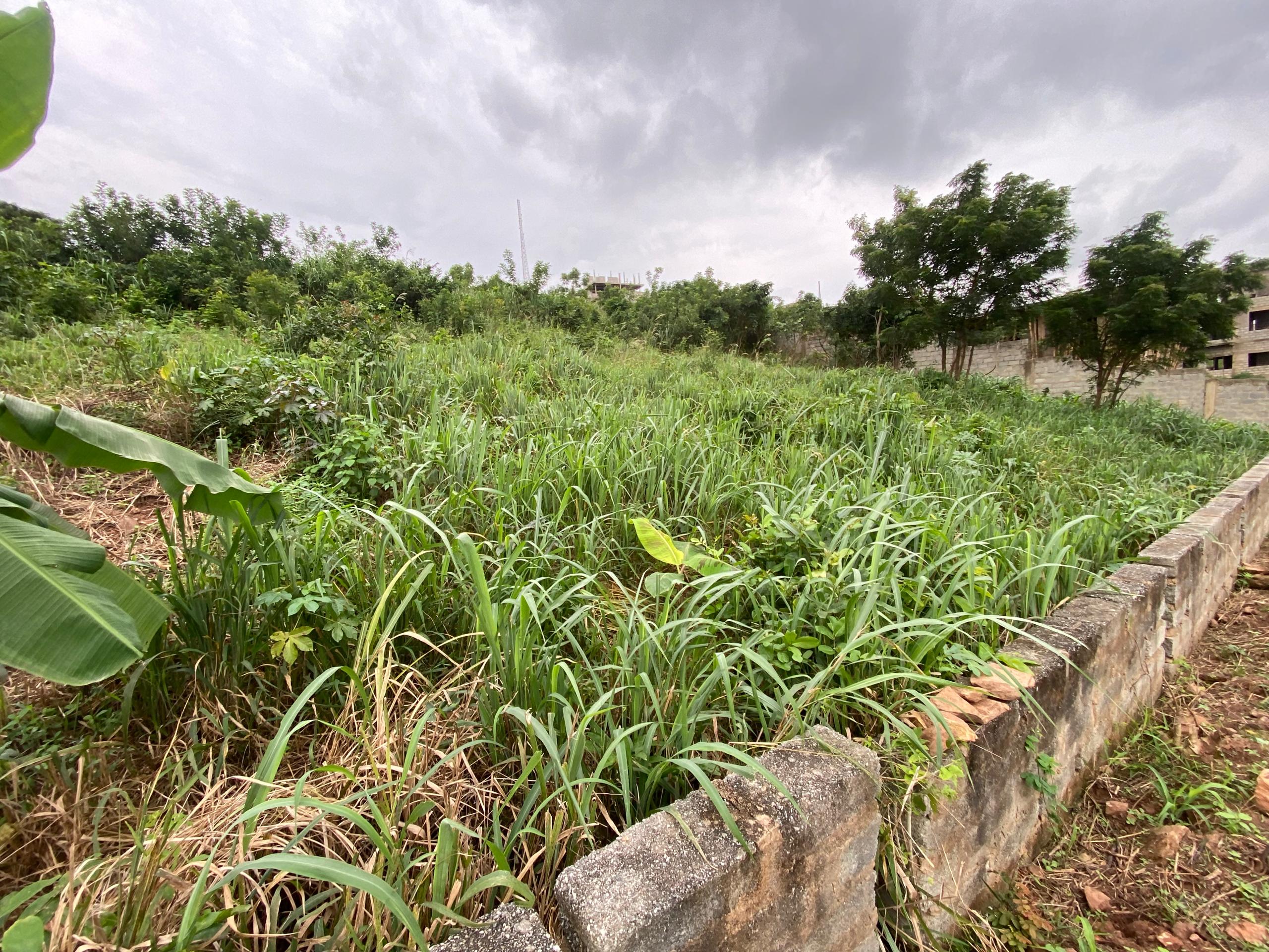 1 Plot of Land For Sale at Abokobi