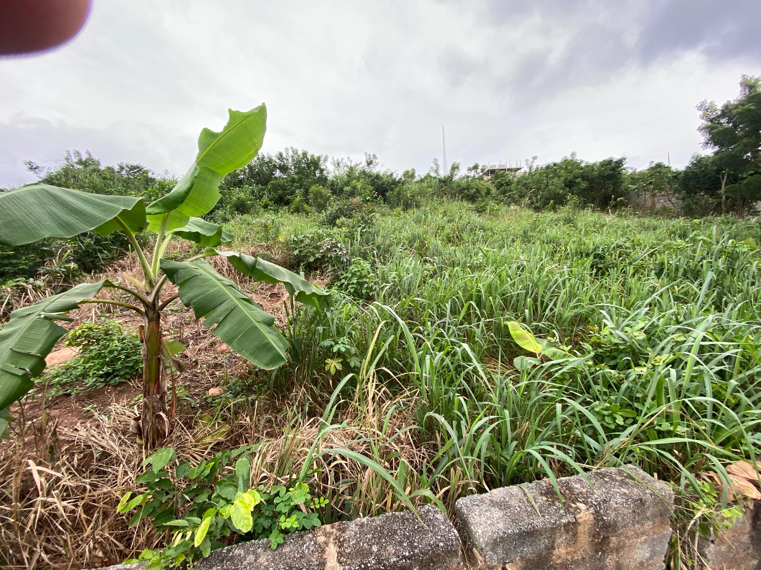 1 Plot of Land For Sale at Abokobi