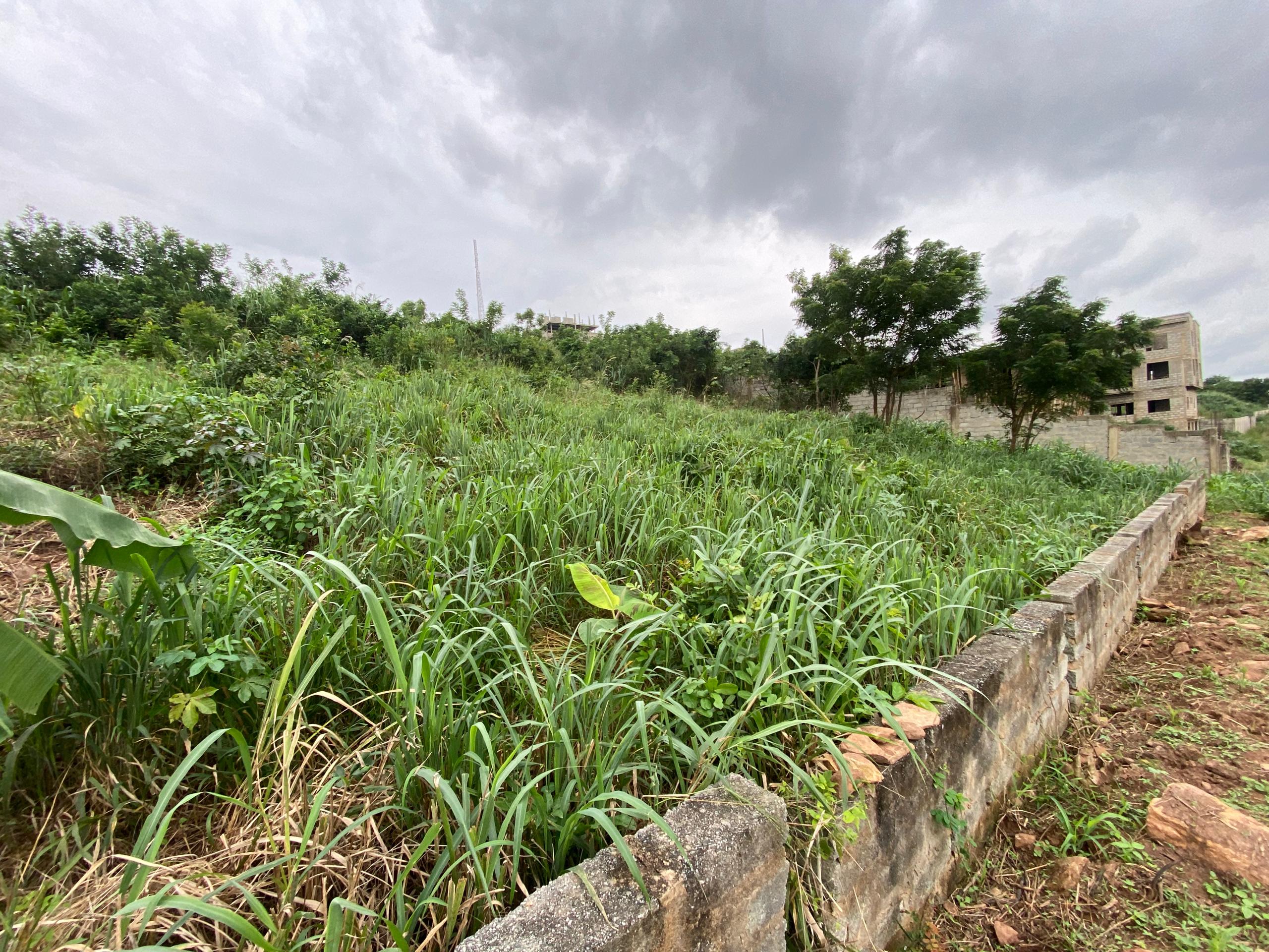 1 Plot of Land For Sale at Abokobi