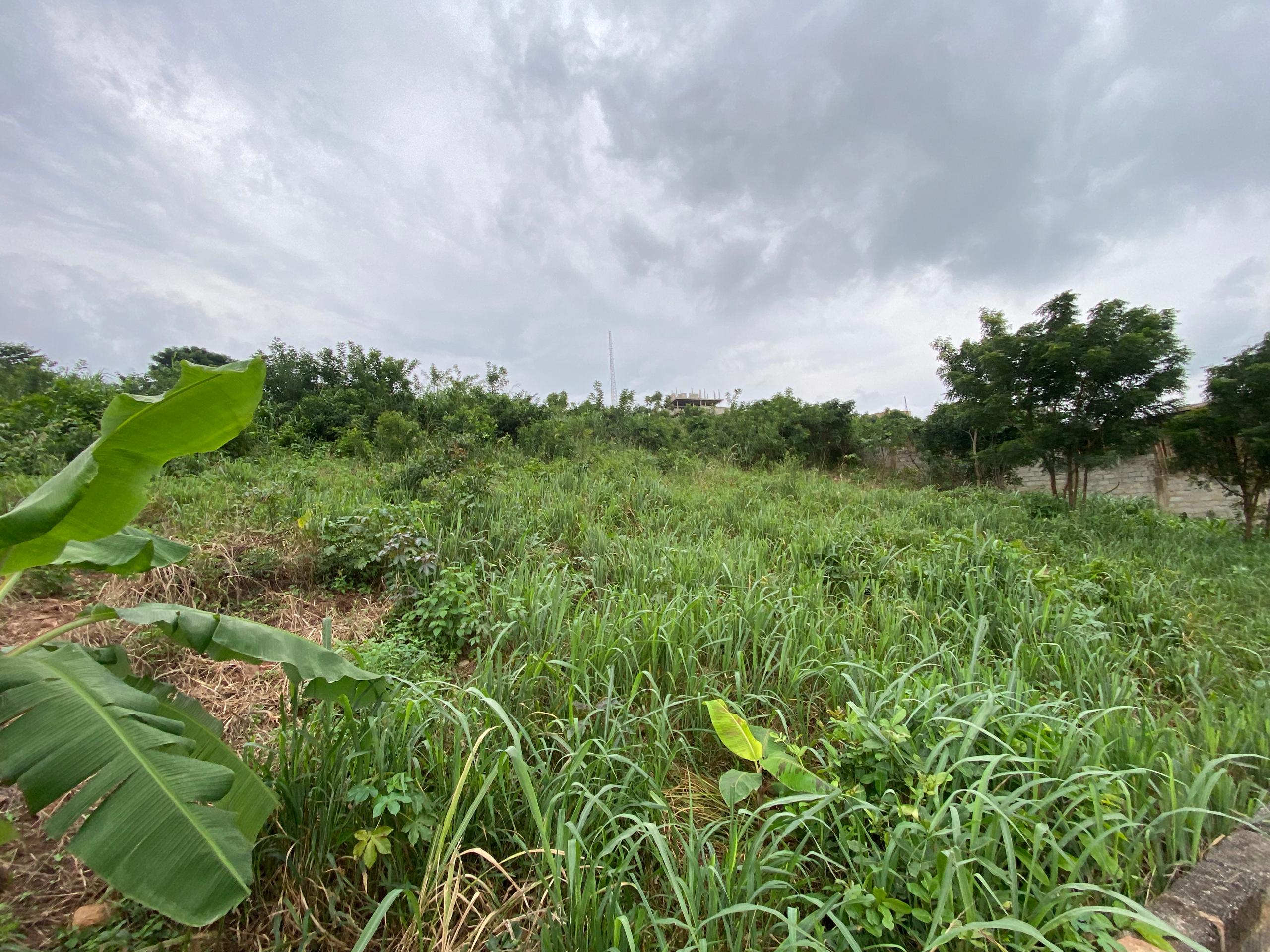 1 Plot of Land For Sale at Abokobi