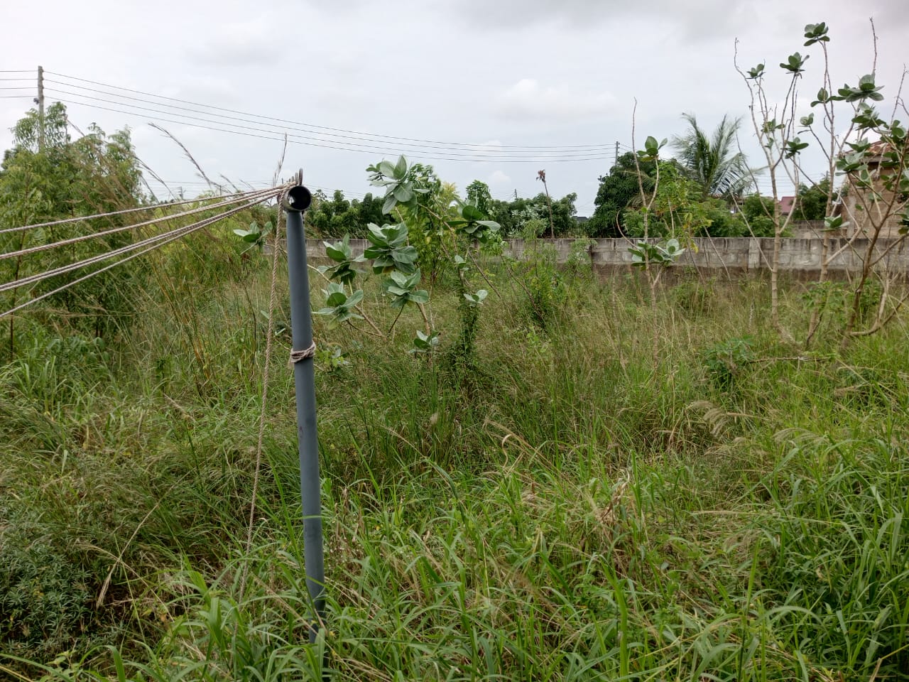 1 Plot of Land For Sale at East Legon Hills Santeo