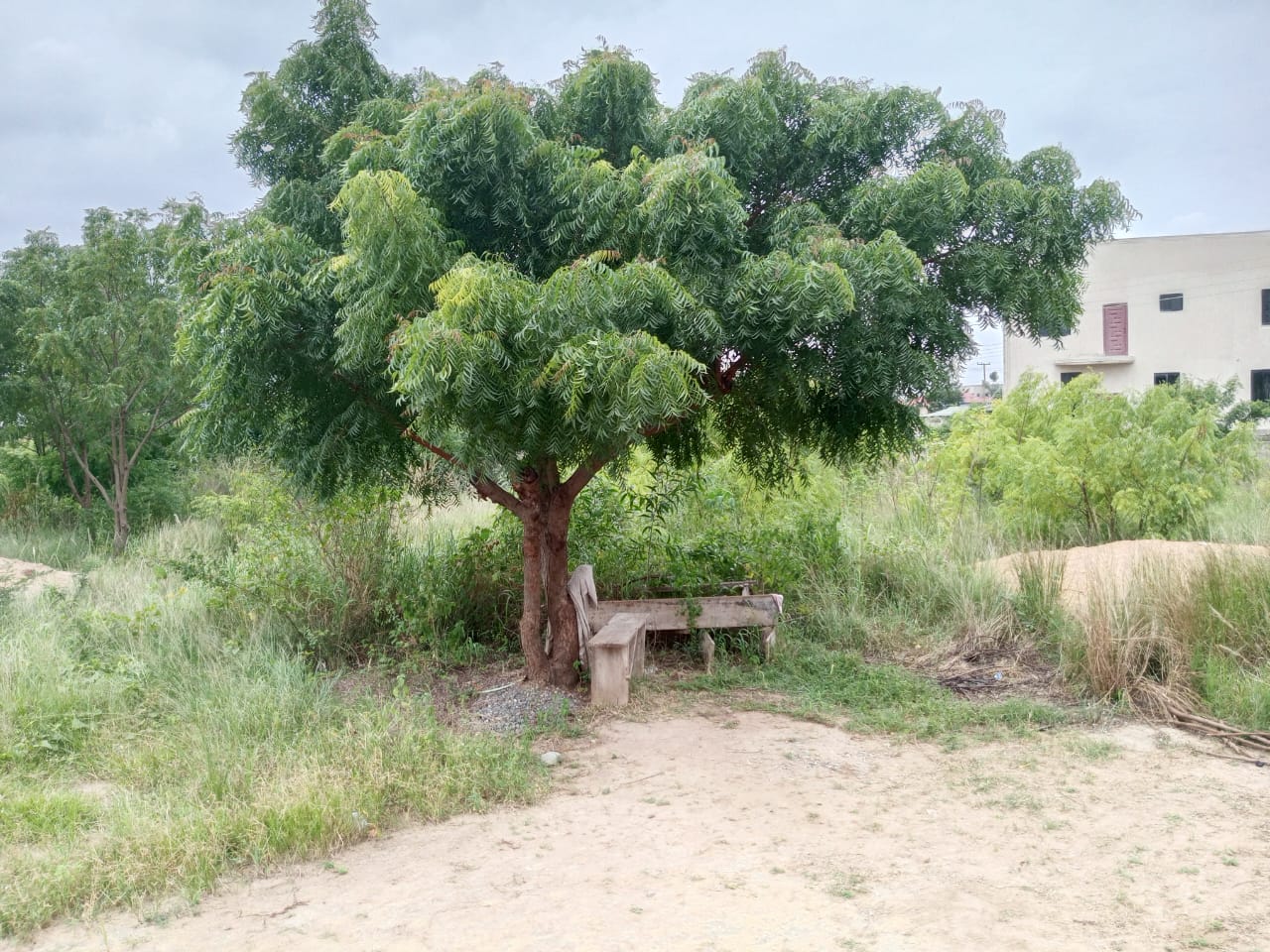 1 Plot of Land For Sale at East Legon Hills Santeo
