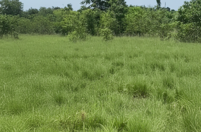 1 Plot of Land For Sale at Oyibi Appolonia Otsebleku