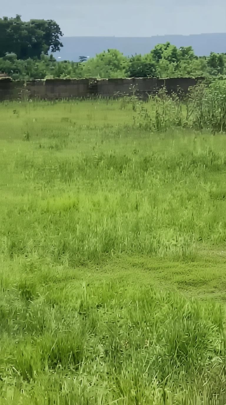 1 Plot of Land For Sale at Oyibi Appolonia Otsebleku