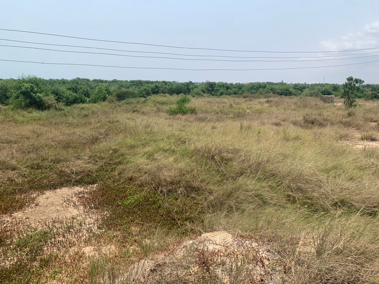 12 Plots of Land For Sale at Kokrobite