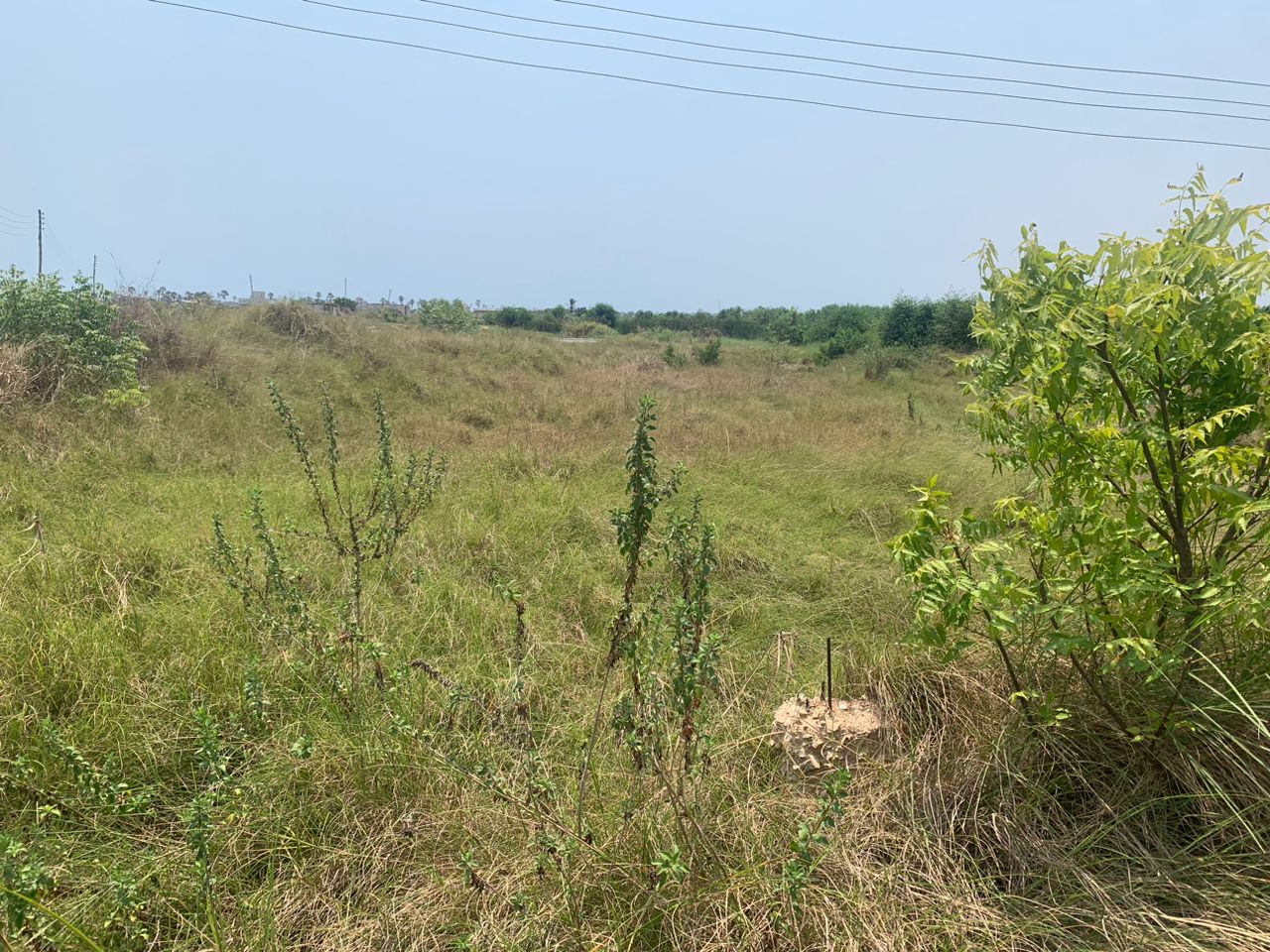 12 Plots of Land For Sale at Kokrobite