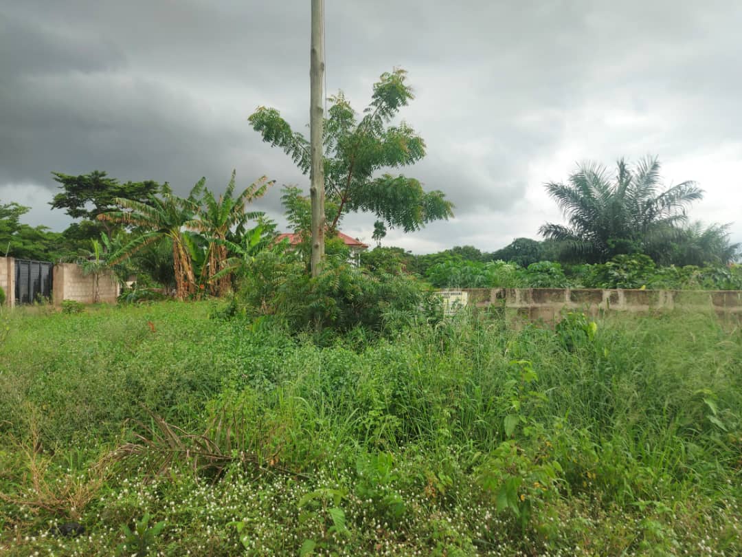 Two (2) Plots for Sale at Oyarifa