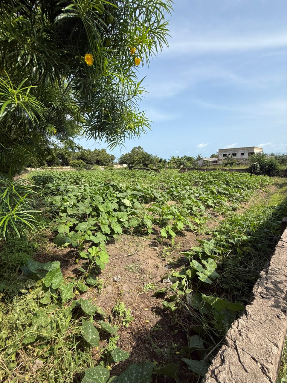 2 Plots of Land For Sale at Kokrobite 