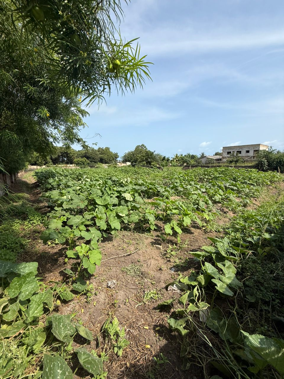 2 Plots of Land For Sale at Kokrobite 