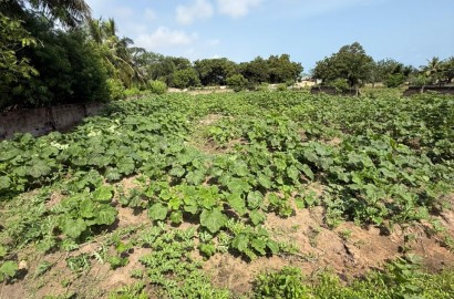 2 Plots of Land For Sale at Kokrobite 