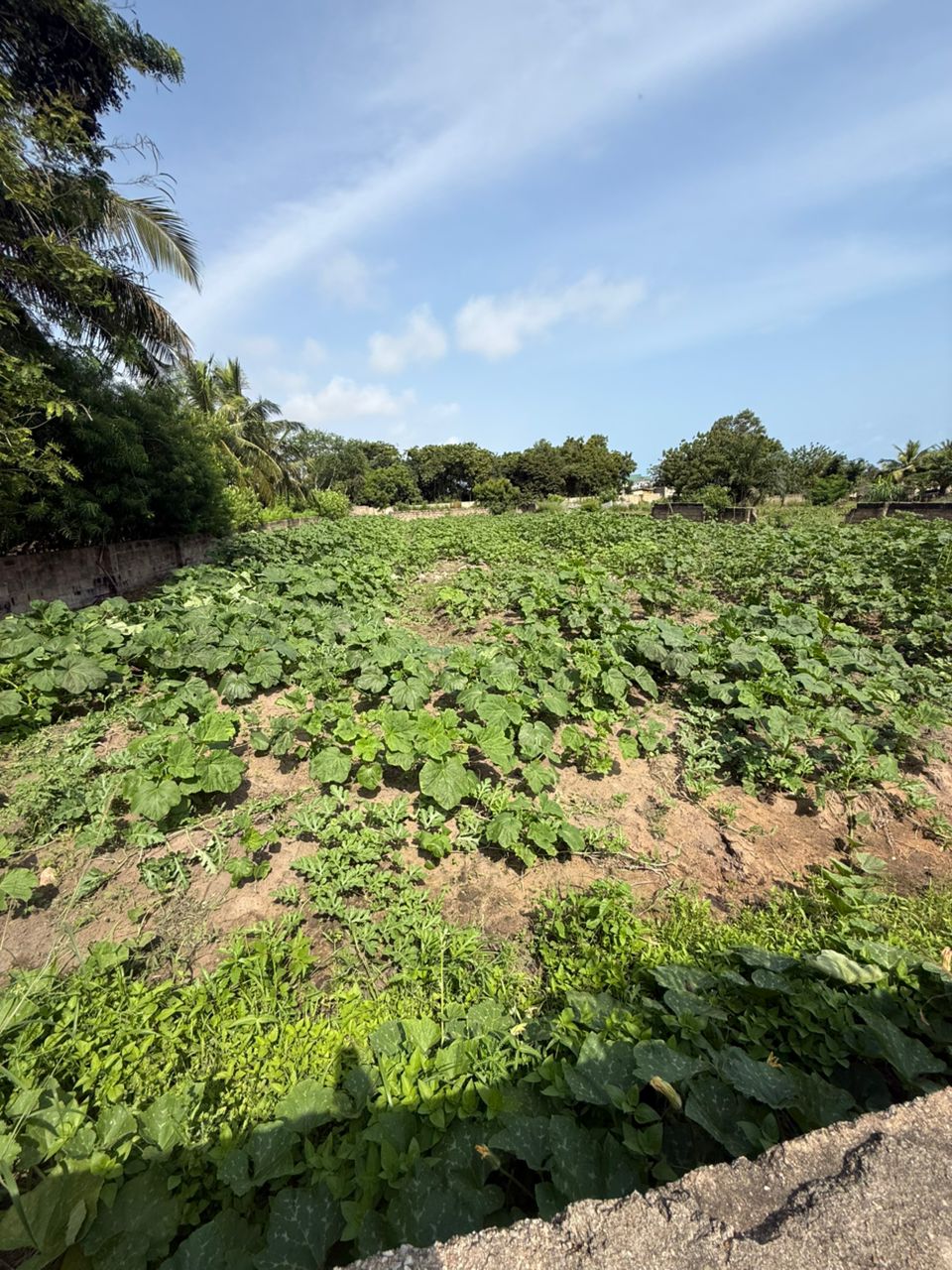 2 Plots of Land For Sale at Kokrobite 