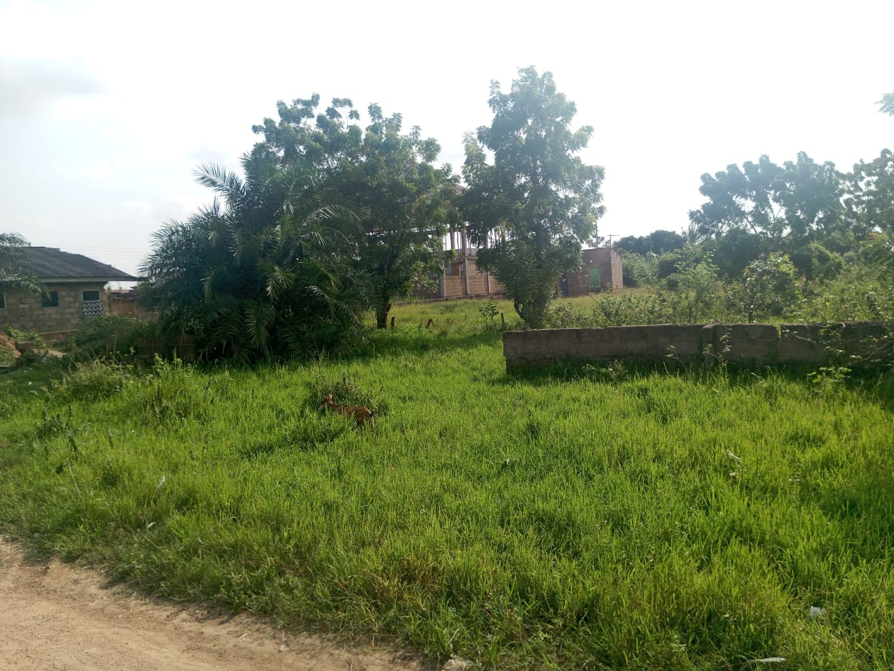 3 Plots of Land For Sale at Amasaman Ashalaja