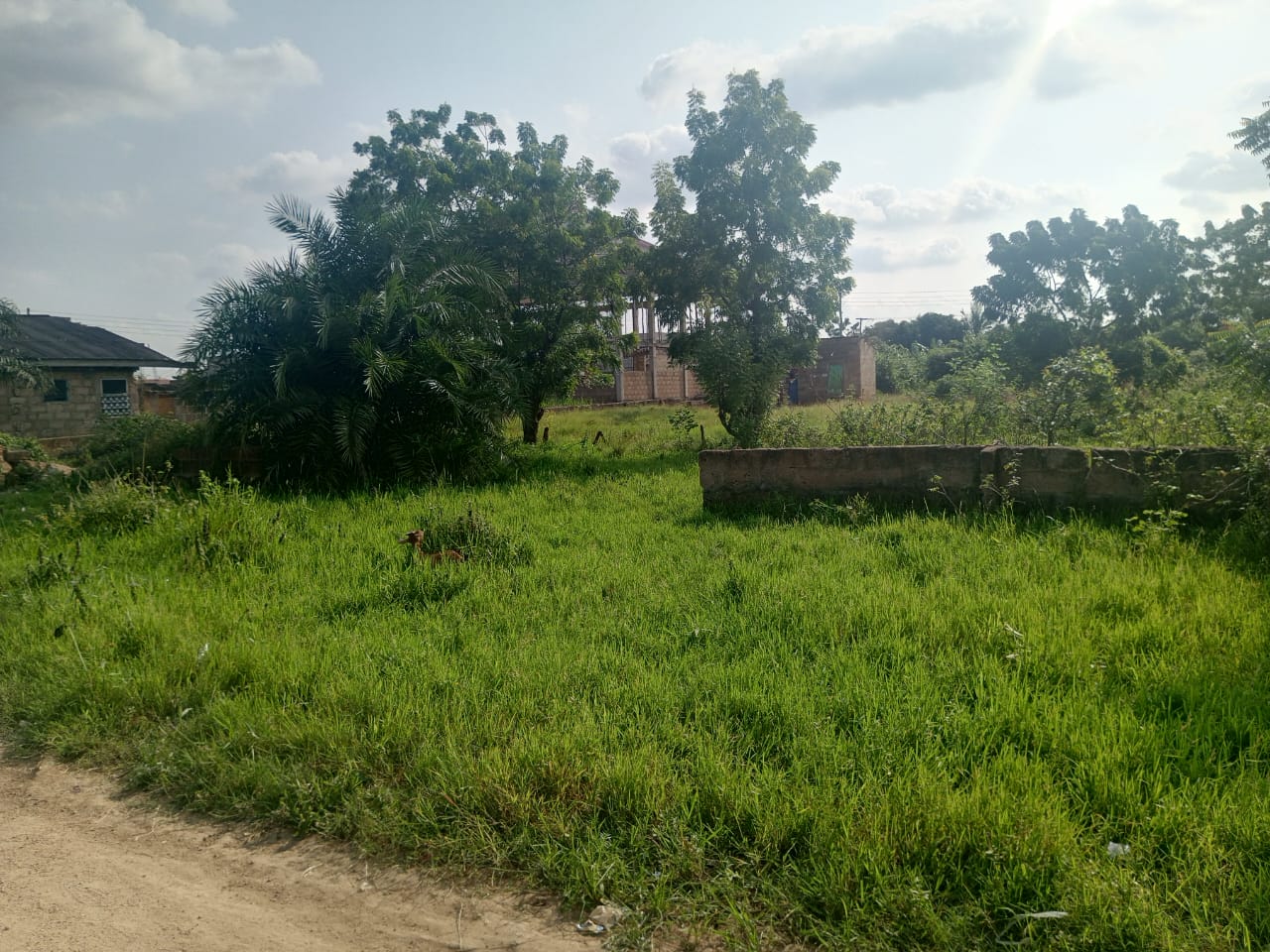 3 Plots of Land For Sale at Amasaman Ashalaja