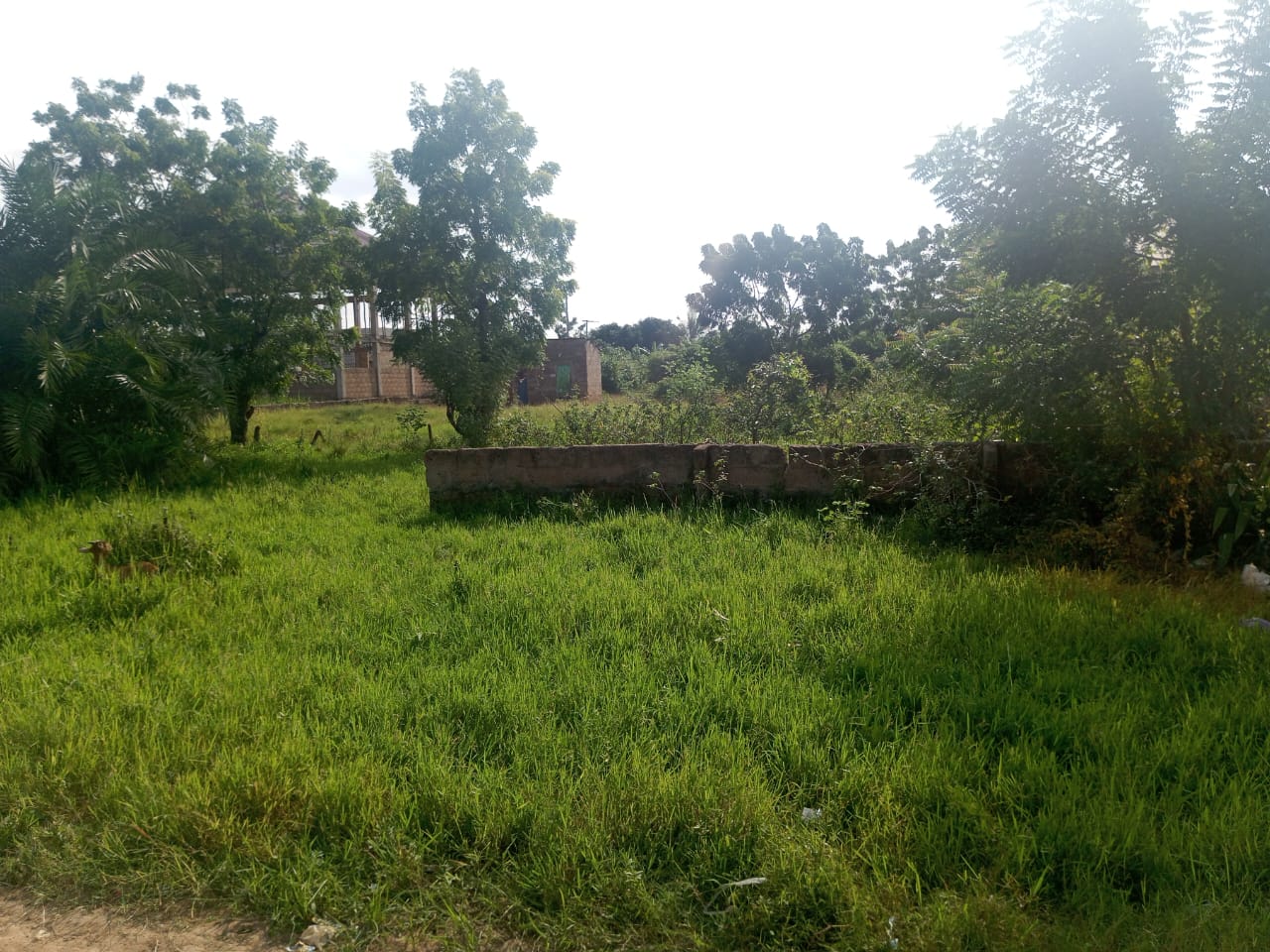 3 Plots of Land For Sale at Amasaman Ashalaja