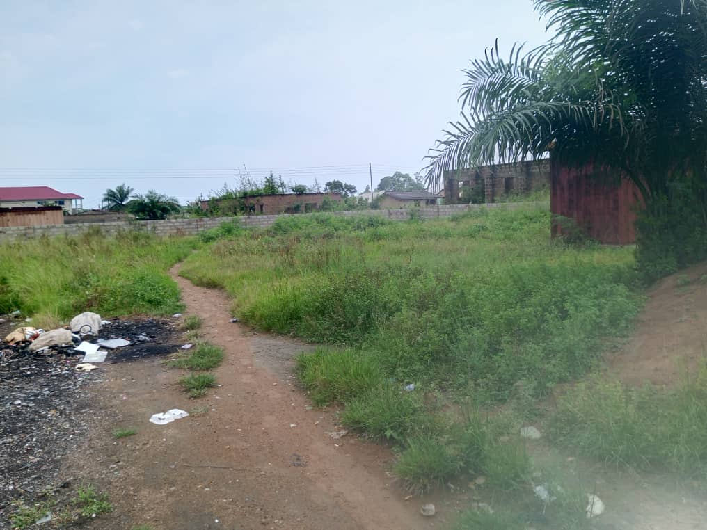 3 Plots of Roadside Land For Sale at Adjen Kotoku
