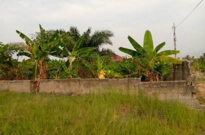 Half plot for sale at Nkyenkyerenease