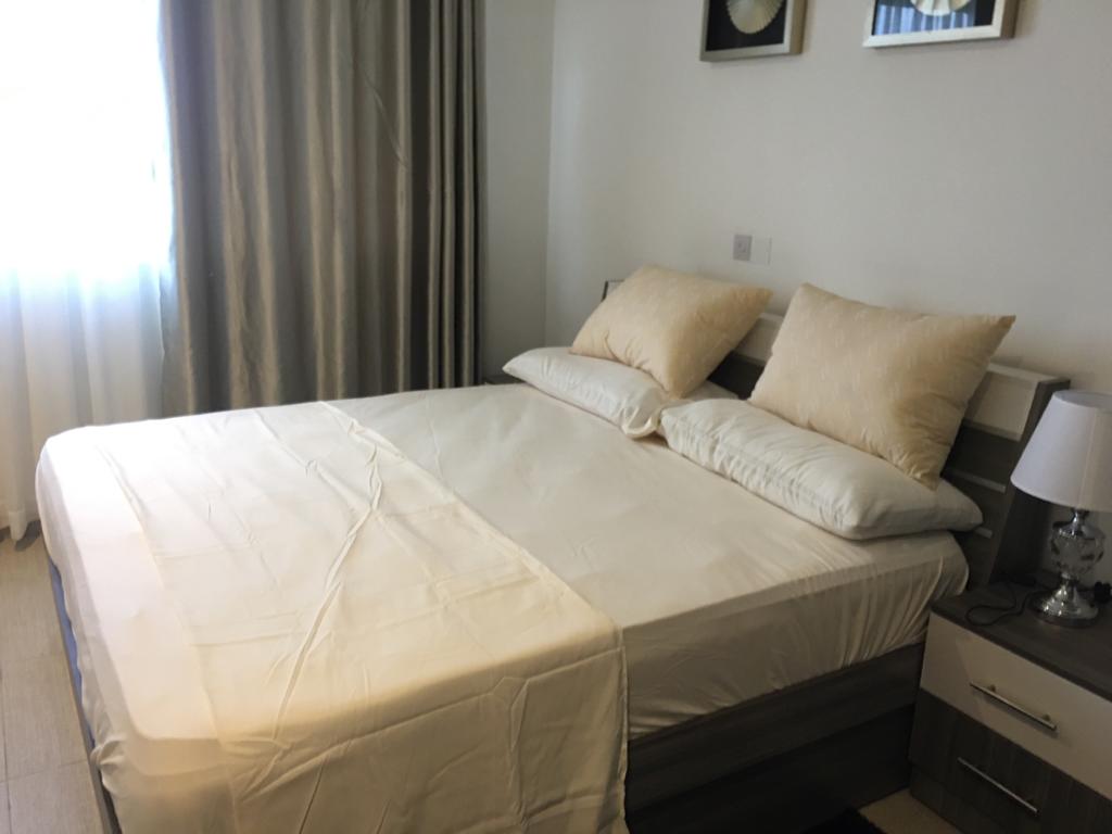 Furnished 3 Bedroom Apartment for Rent