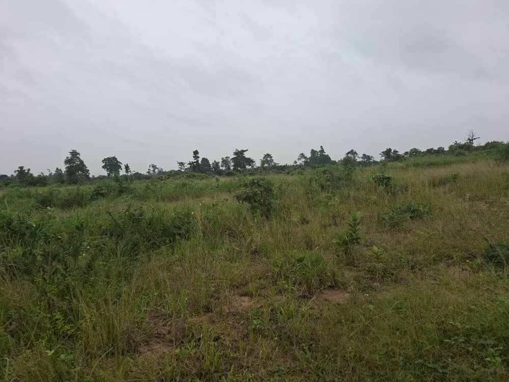 1 Acre of Land For Sale at Ahwerease