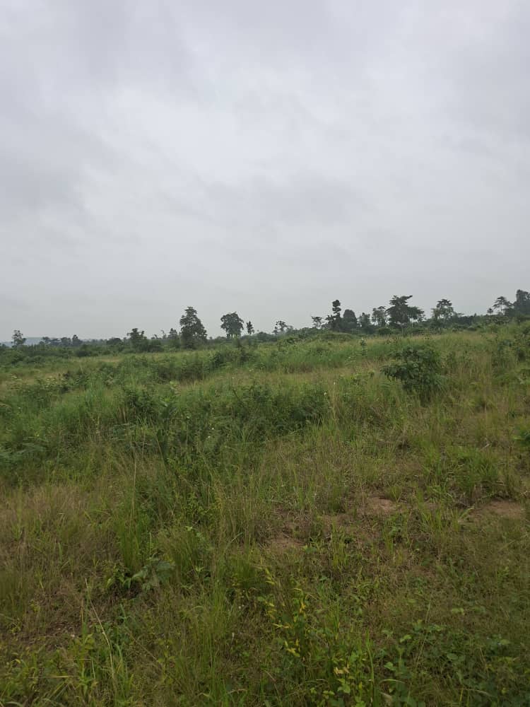 1 Acre of Land For Sale at Ahwerease