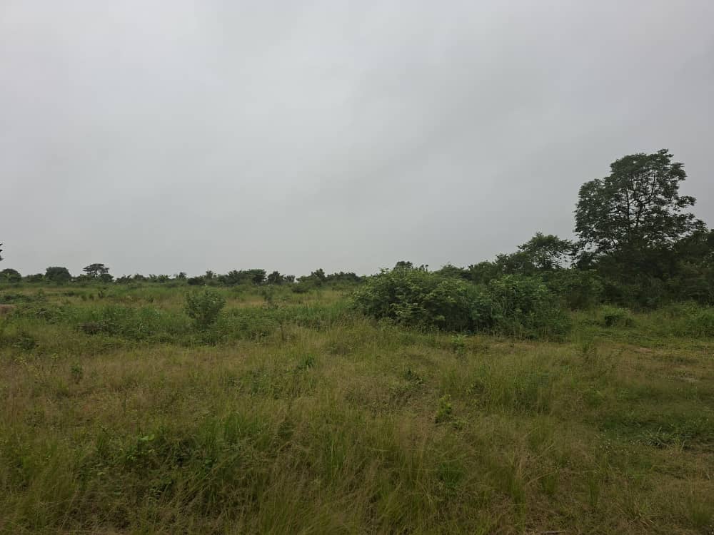1 Acre of Land For Sale at Ahwerease