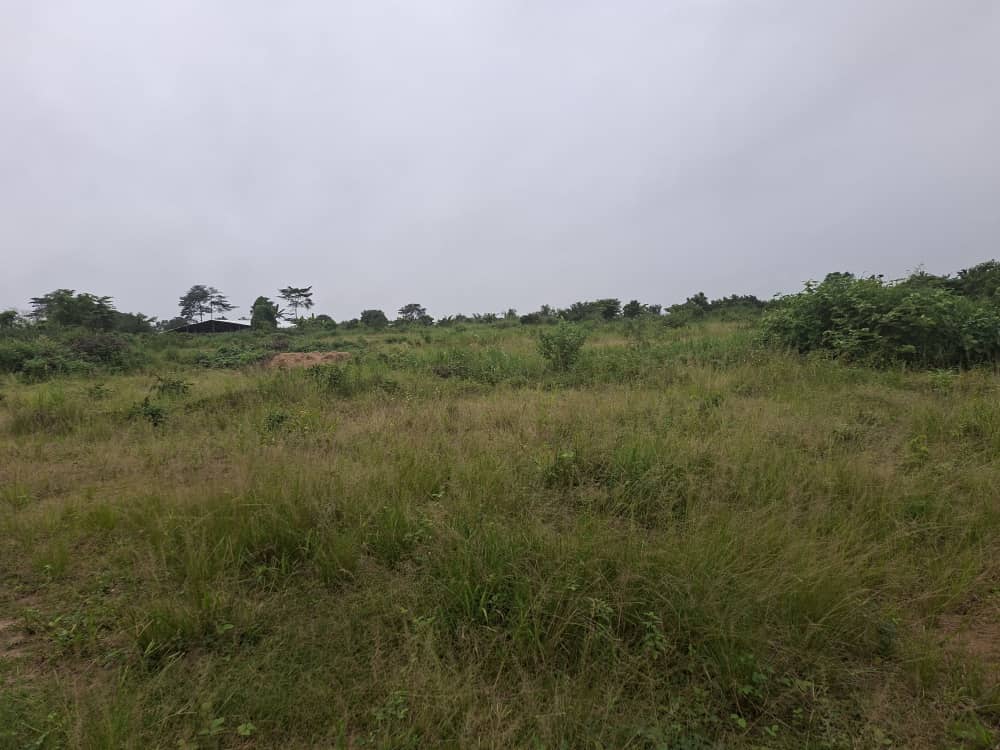 1 Acre of Land For Sale at Ahwerease