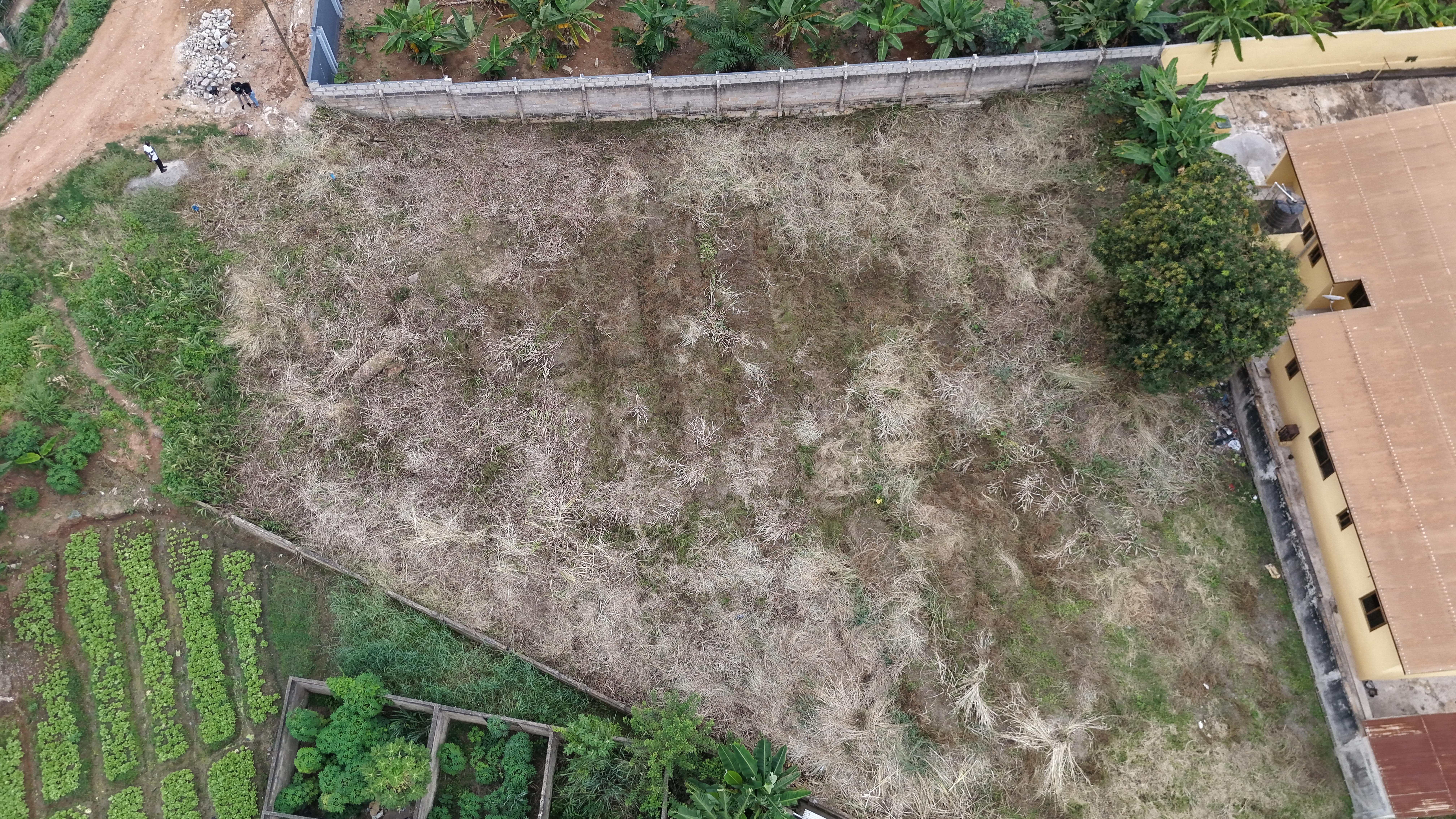 LAND FOR SALE IN KUMASI BOADI | 0.35 ACRES OF PRIME INVESTMENT POTENTIAL NEAR KNUST