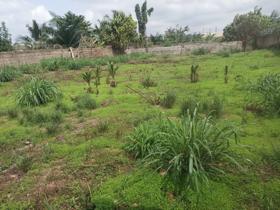 Commercial Land for Sale at Ahodwo-Sokoban