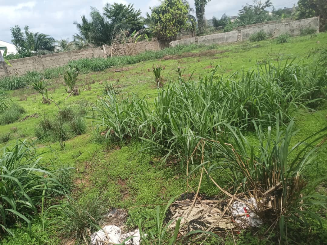 Commercial Land for Sale at Ahodwo-Sokoban