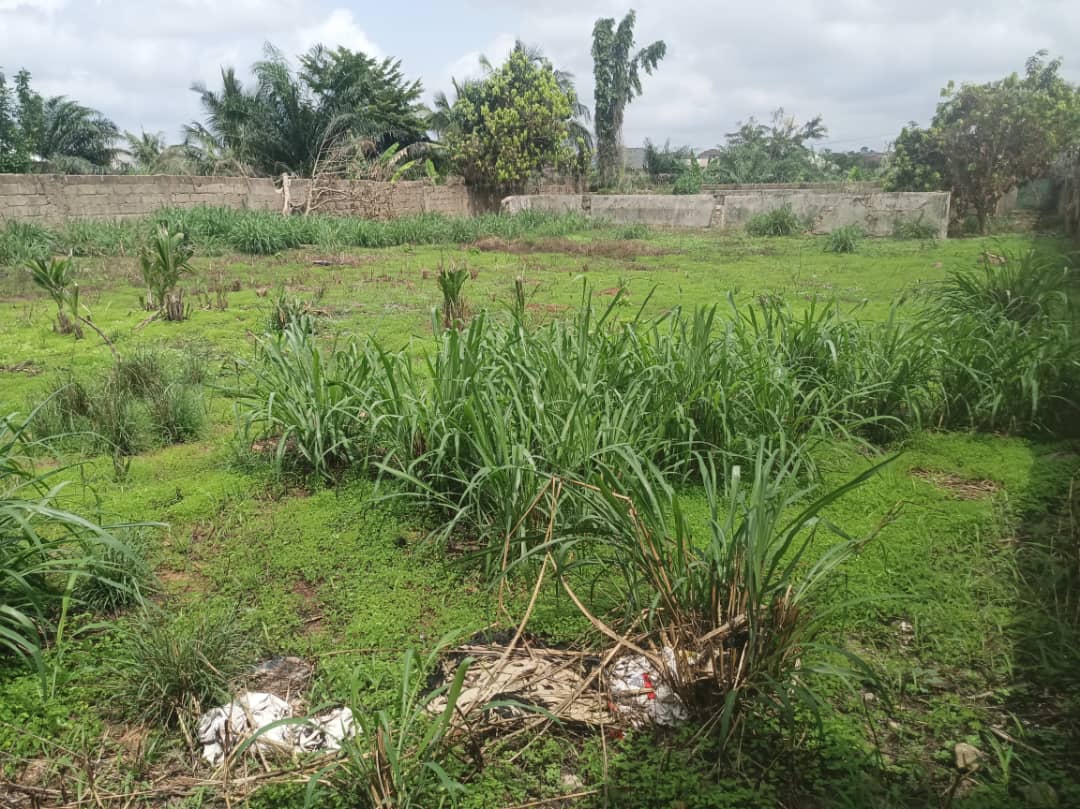 Commercial Land for Sale at Ahodwo-Sokoban