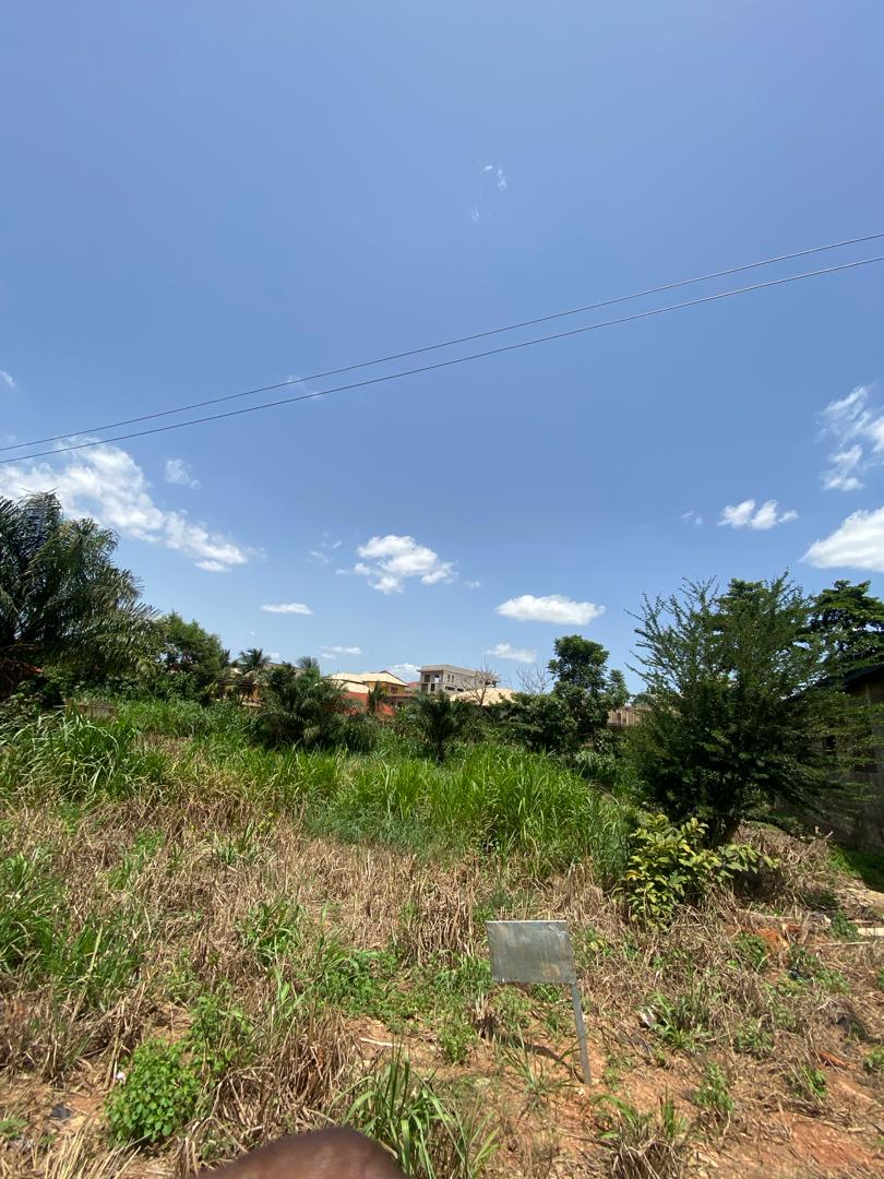 Commercial Plot for Sale At Sanatasi-Anyinam
