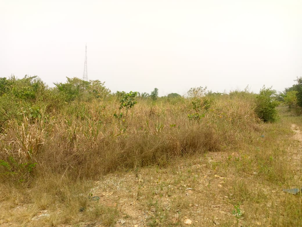 Eight 8 Acres of Land for Sale at Kwabenya