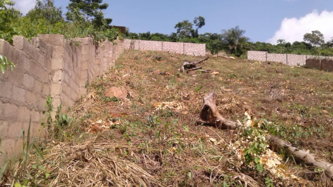 Exclusive Plot of Land for Sale in Aburi
