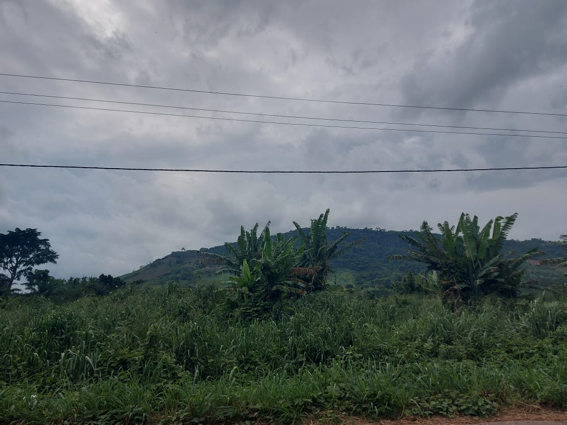 Farm Land For Sale at Adeiso-Asuotwene