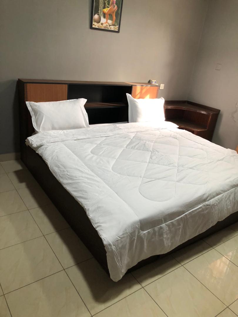 Five (5) Bedroom Furnished House For Rent at East Legon