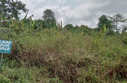 Forty (40) Acres of Land for Sale At Abom Near Pakyi