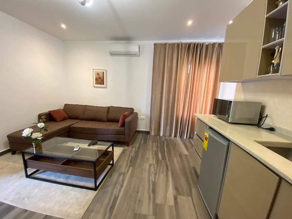 Furnished One 1-bedroom Apartment for Rent at East Airport