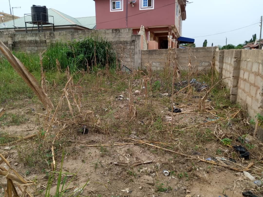 2 Plots of Land for sale