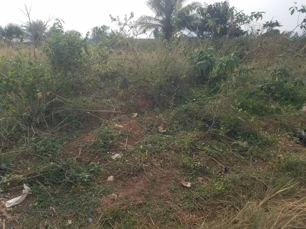 Registered Plots of land for Sale in Kumasi