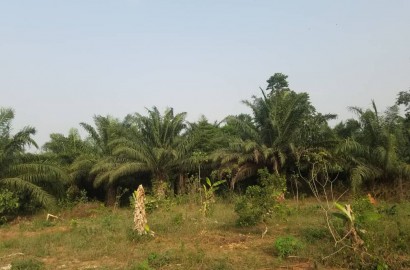 2.5 Acre Land for Sale in Kumasi