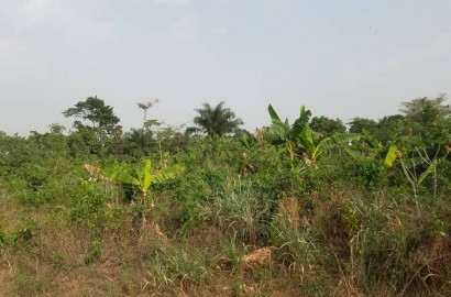 Registered Plot of Land for Sale in Kumasi