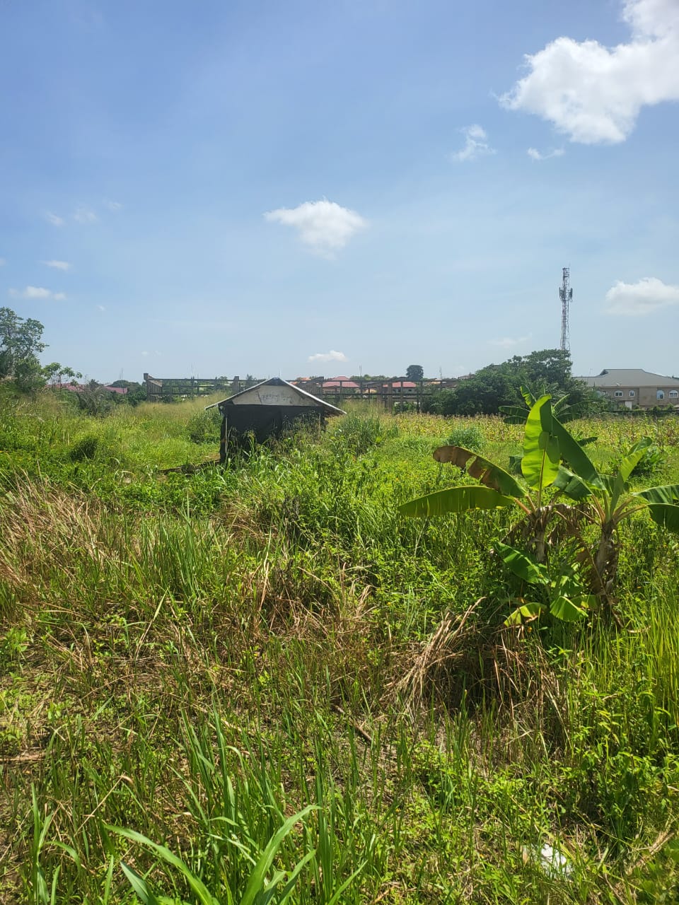 Two plots of land for sale at Atasemanso