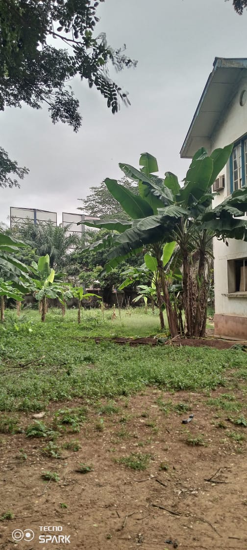 An acre land with an old structure for sale at Ahodwo Nhyiaeso, Kumasi