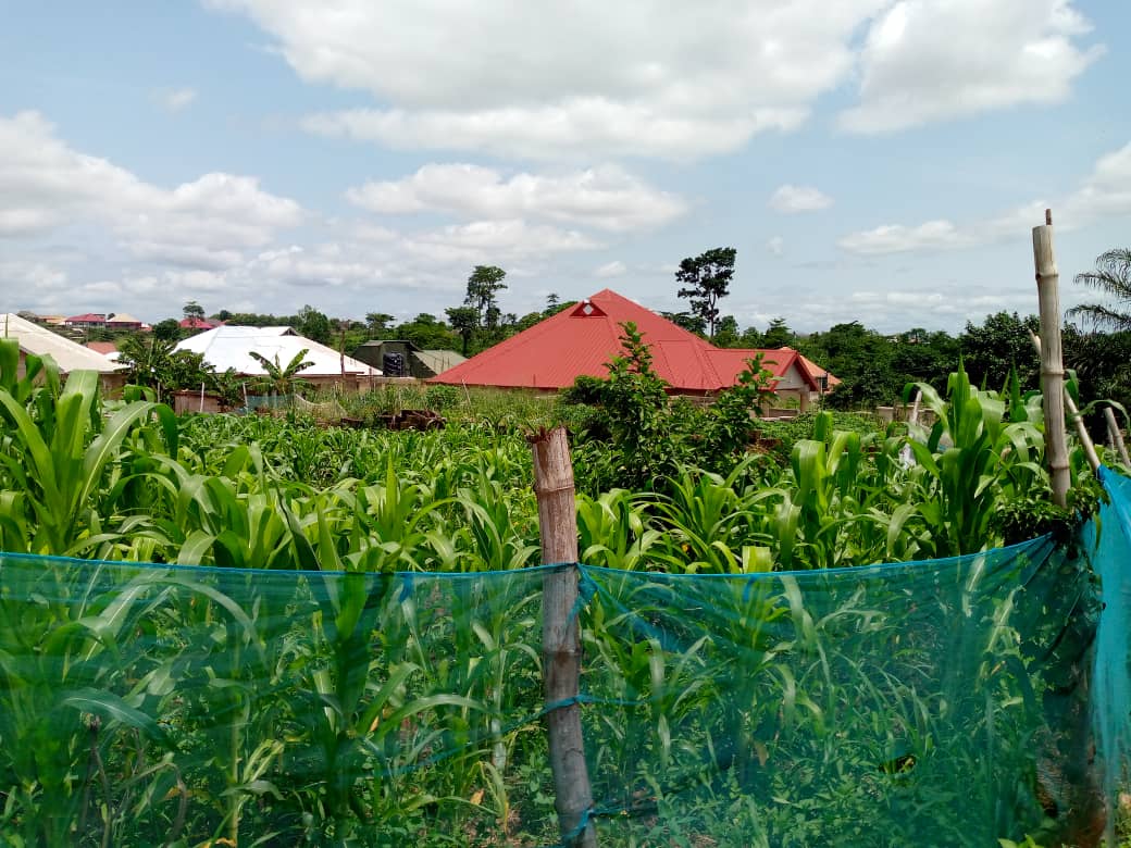 One pot of land for sale at Mpatasie, Kumasi