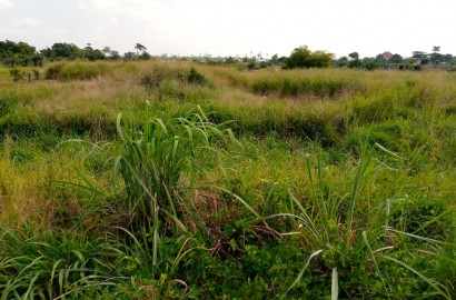Full plot of land for sale at Sokoban-Kumasi