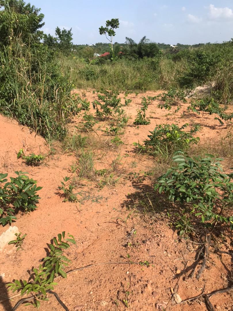 Land for sale at Adwumakase kese-Kumasi