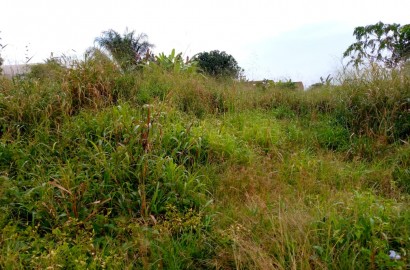 Three plots of land for sale at Tech Kotei