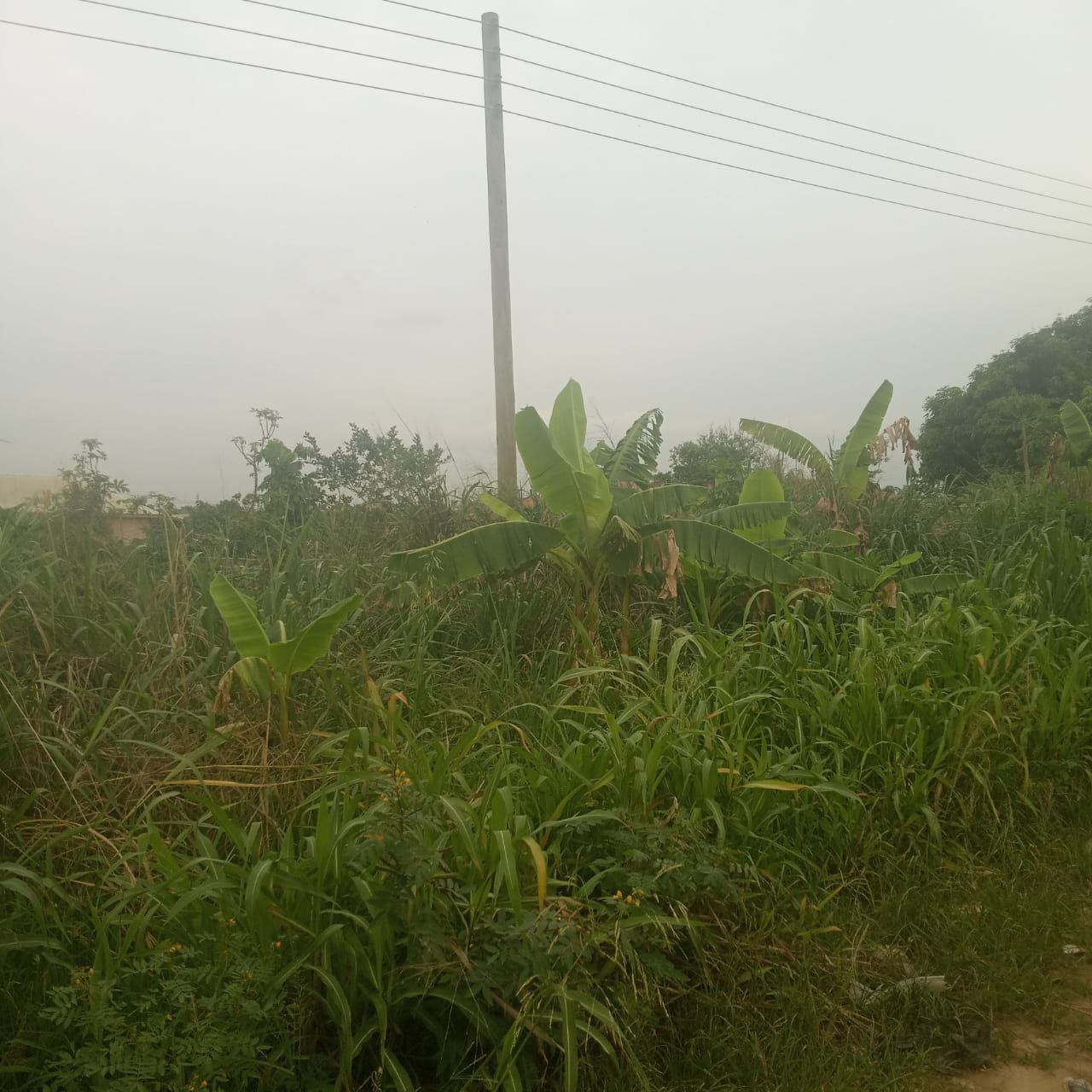 Plot of Land for Sale at Nyankyerenease, Kumasi 