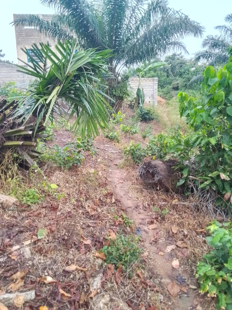 Land For Sale at Aburi