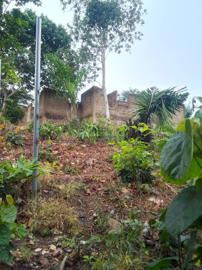Land For Sale at Aburi