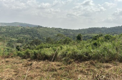 Land For Sale at Aburi Jamaicaso